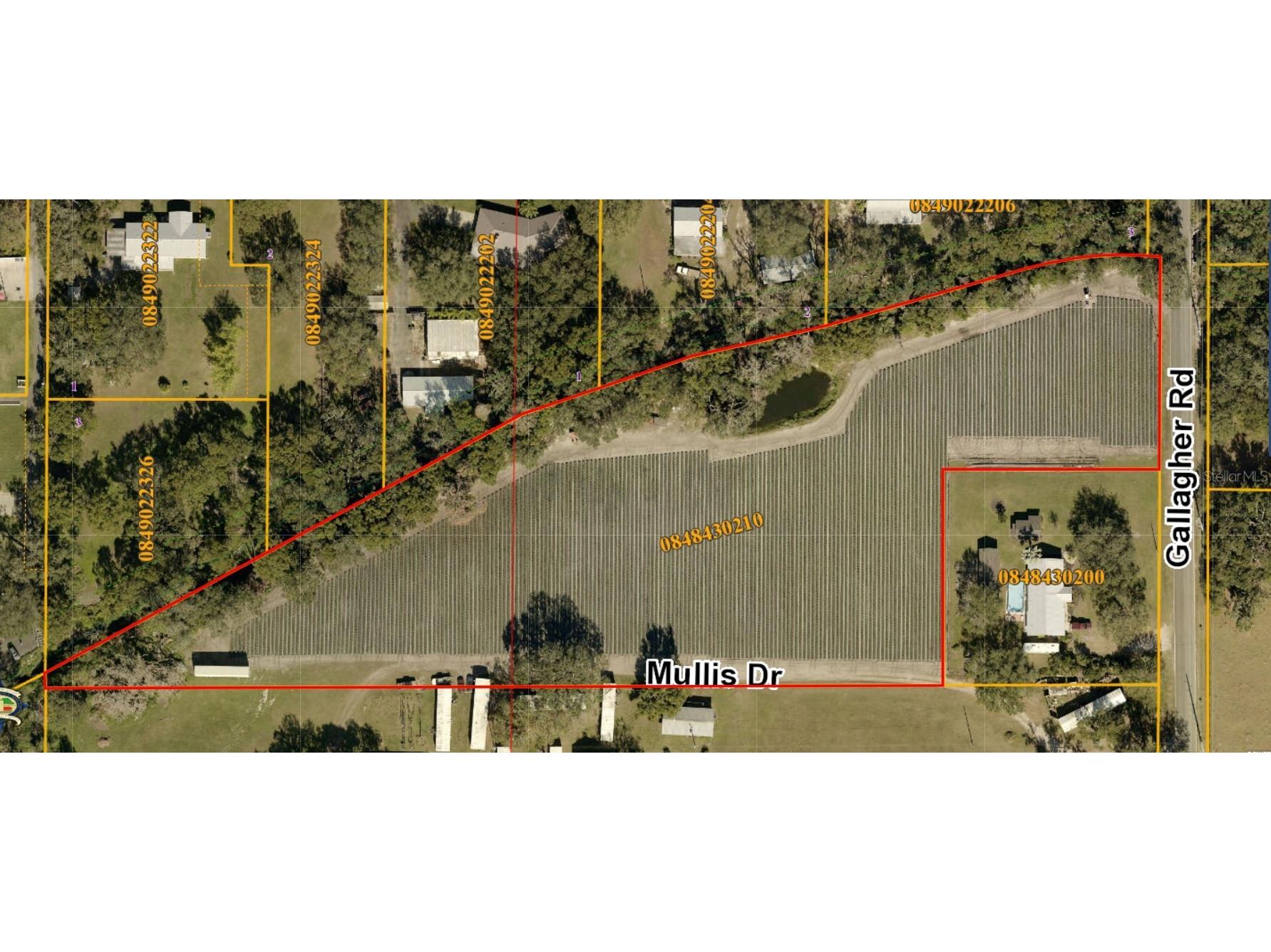Gallagher Road Dover FL 33527 TB8502492 image4