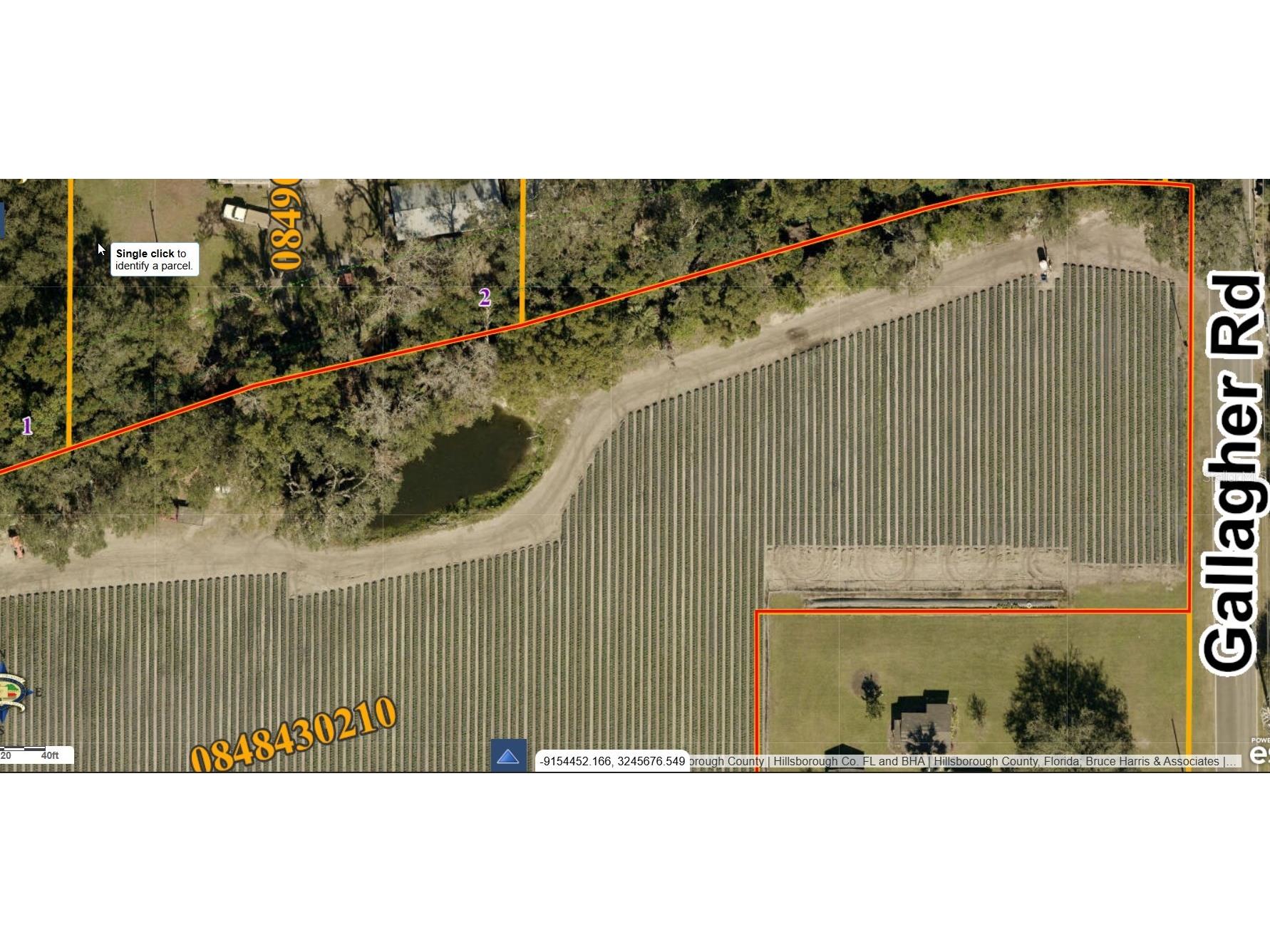 Gallagher Road Dover FL 33527 TB8502492 image7