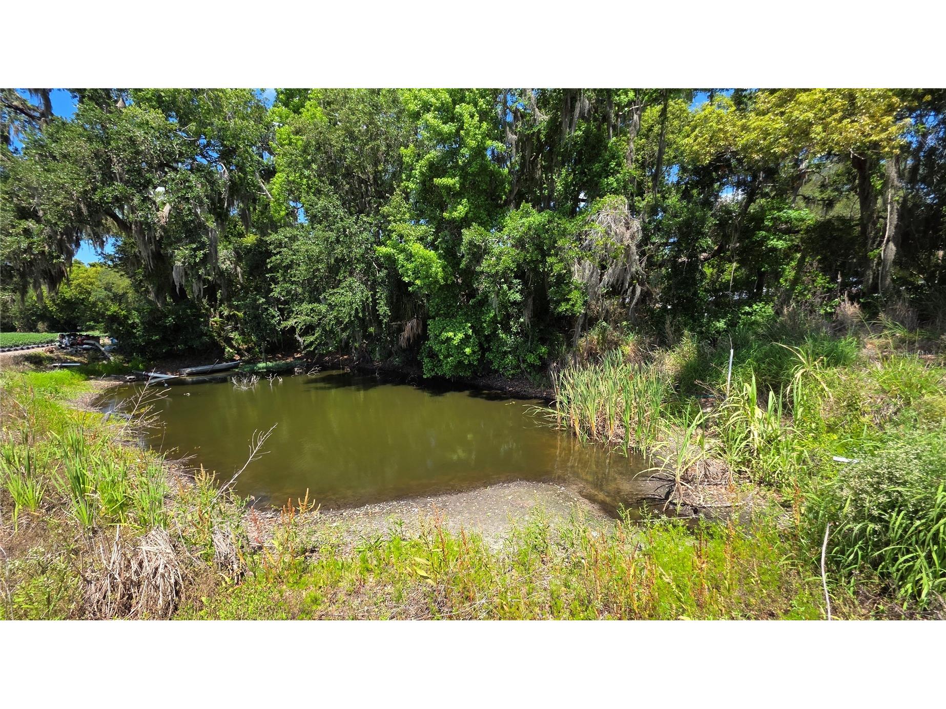 Gallagher Road Dover FL 33527 TB8502492 image8