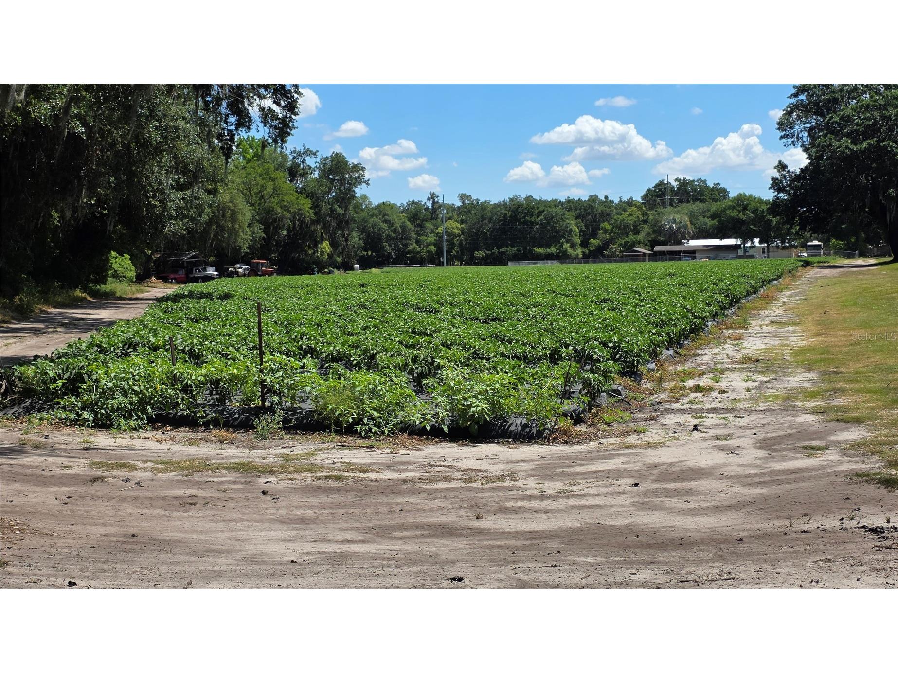 Gallagher Road Dover FL 33527 TB8502492 image9