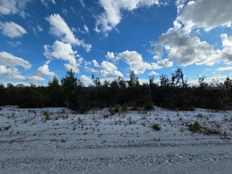 Gallardia Drive #13 Indian Lake Estates FL 33855 TB8491153 image2