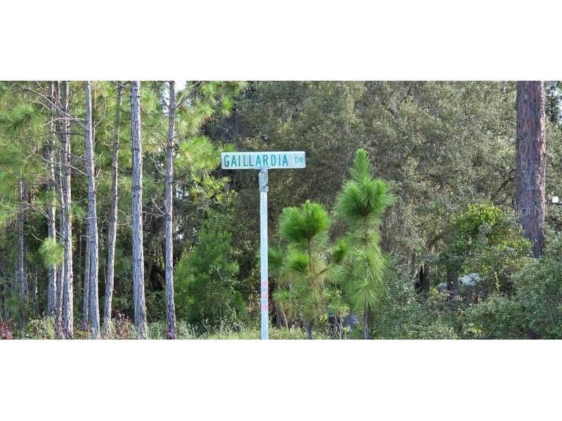 Gallardia Drive #13 Indian Lake Estates FL 33855 TB8491153 image4