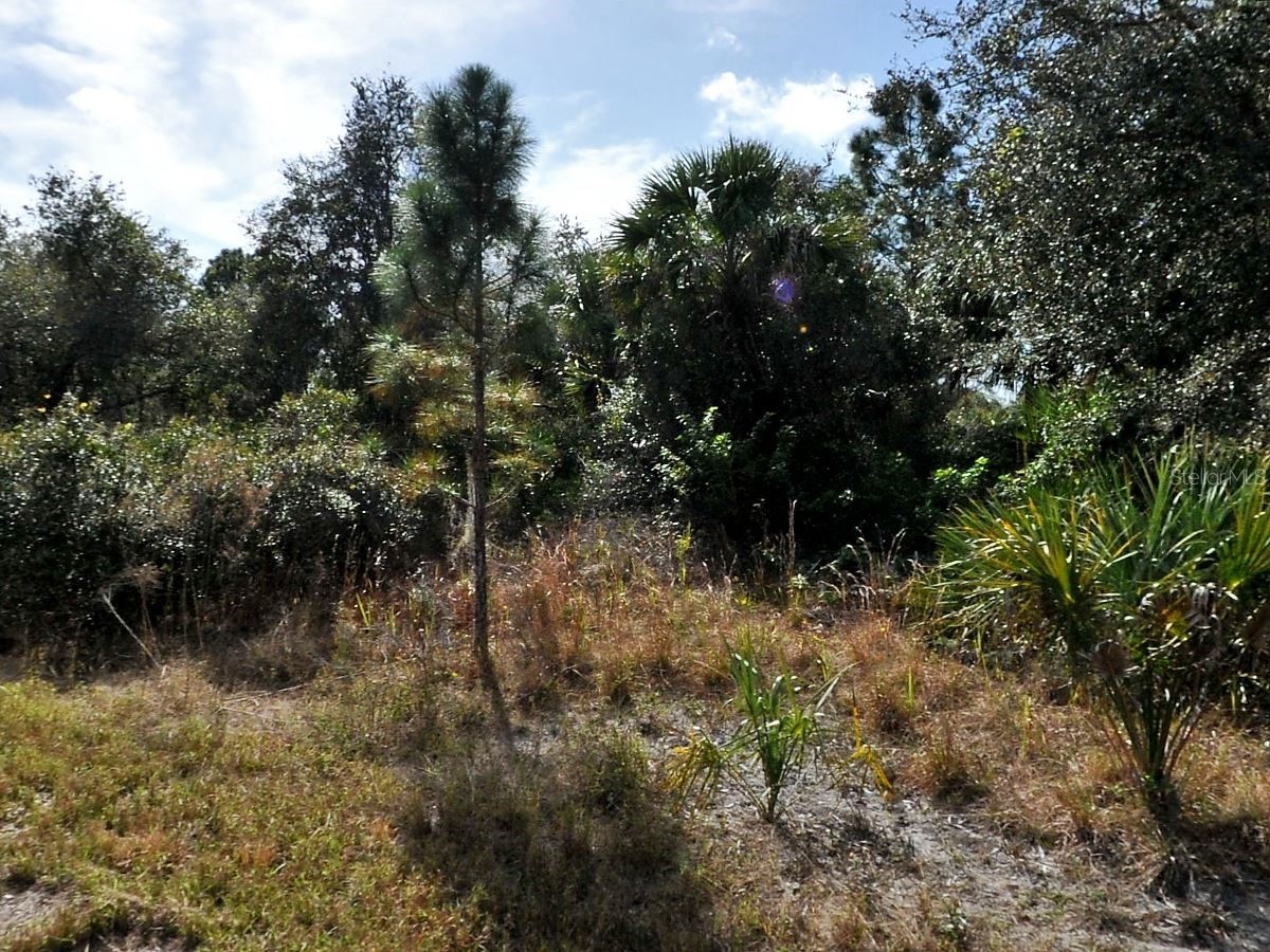 Games Court North Port FL 34288 TB8476780 image1