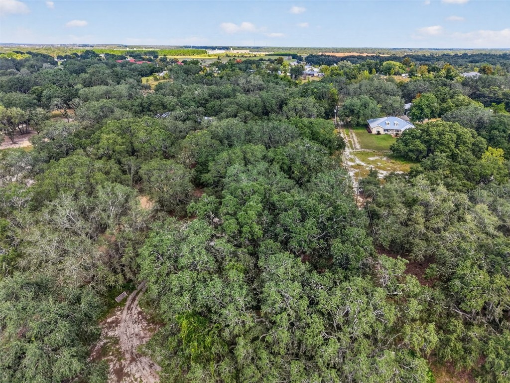 Gan Eden Drive Astatula FL 34705 G5103427 image10