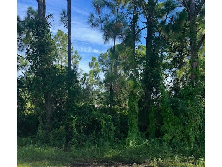 Gancedo Avenue North Port FL 34291 C7514346 image1