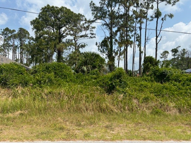 Gantry Road North Port FL 34288 C7492609 image1