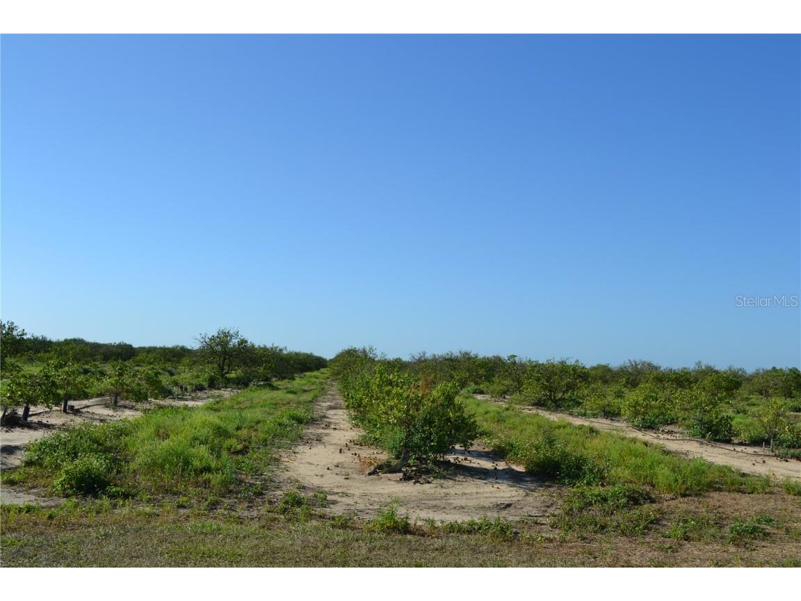 Garfield Nursery Road Babson Park FL 33827 O6331222 image2