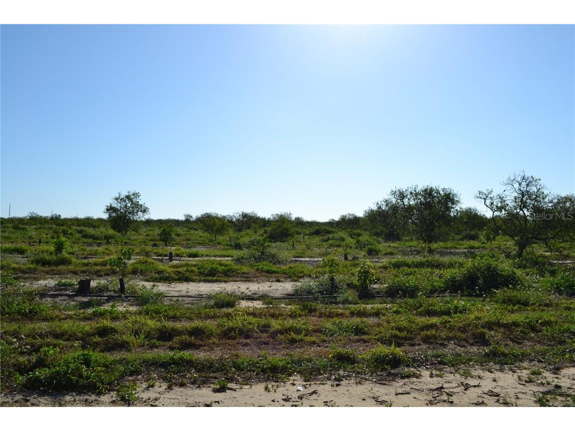 Garfield Nursery Road Babson Park FL 33827 O6331222 image3