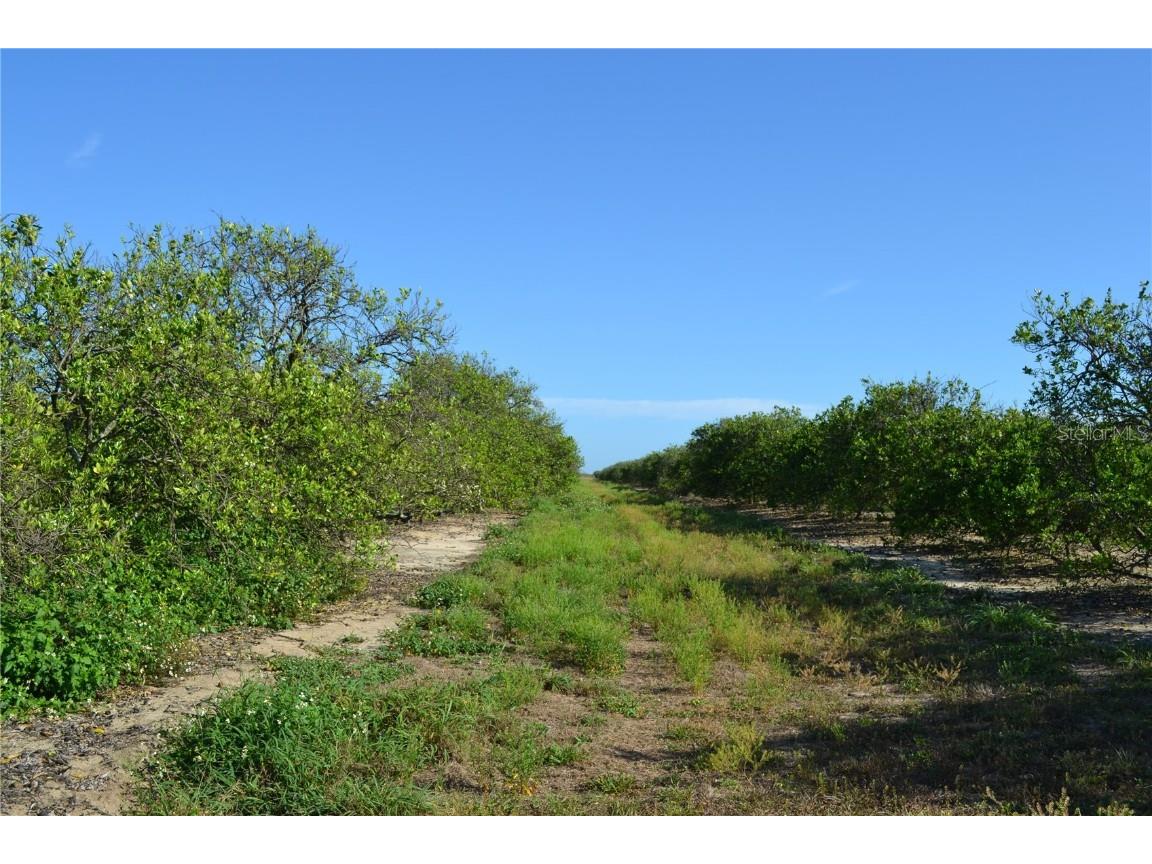 Garfield Nursery Road Babson Park FL 33827 O6331222 image4