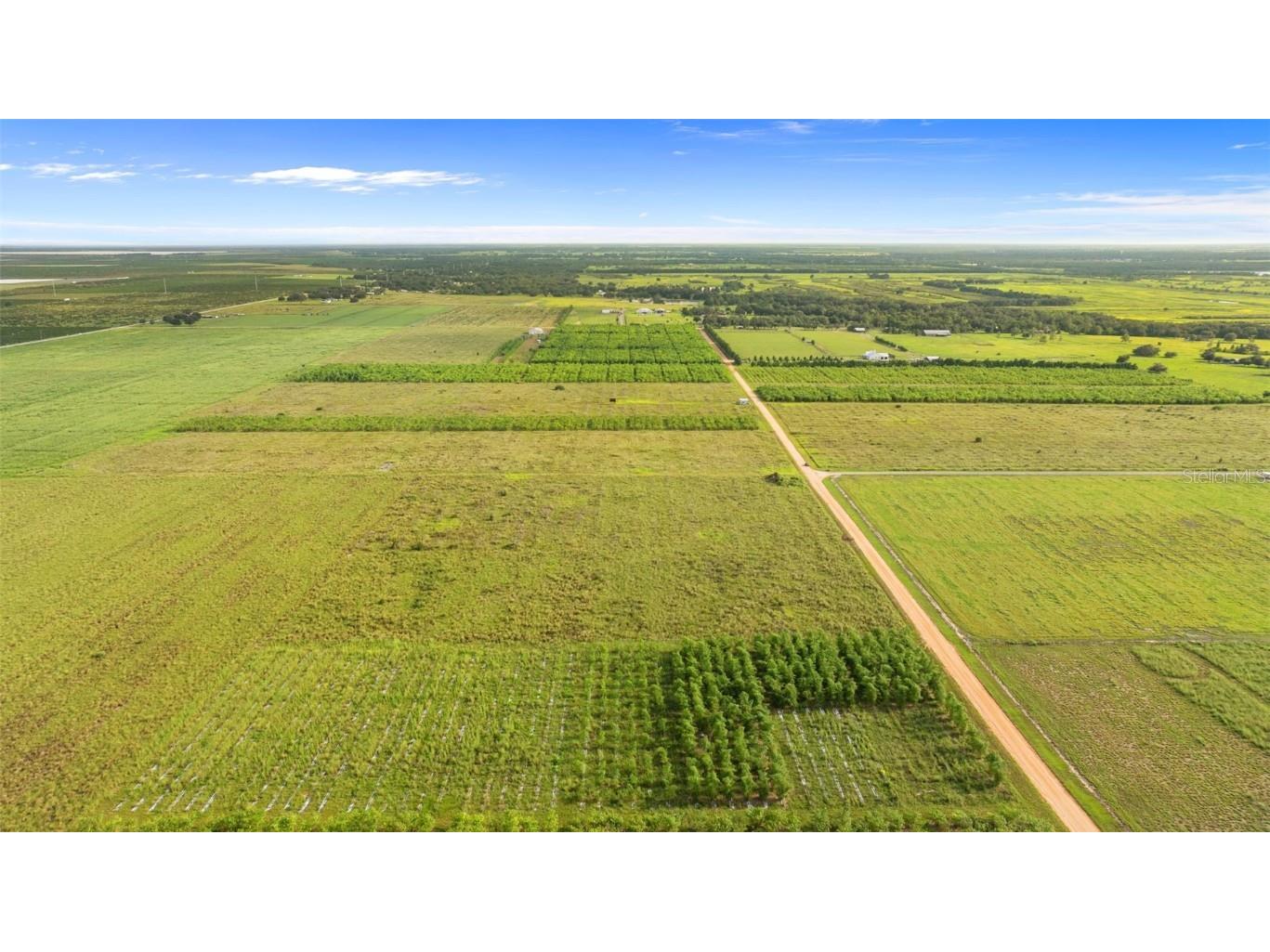 Garfield Road Fort Meade FL 33841 TB8425394 image10