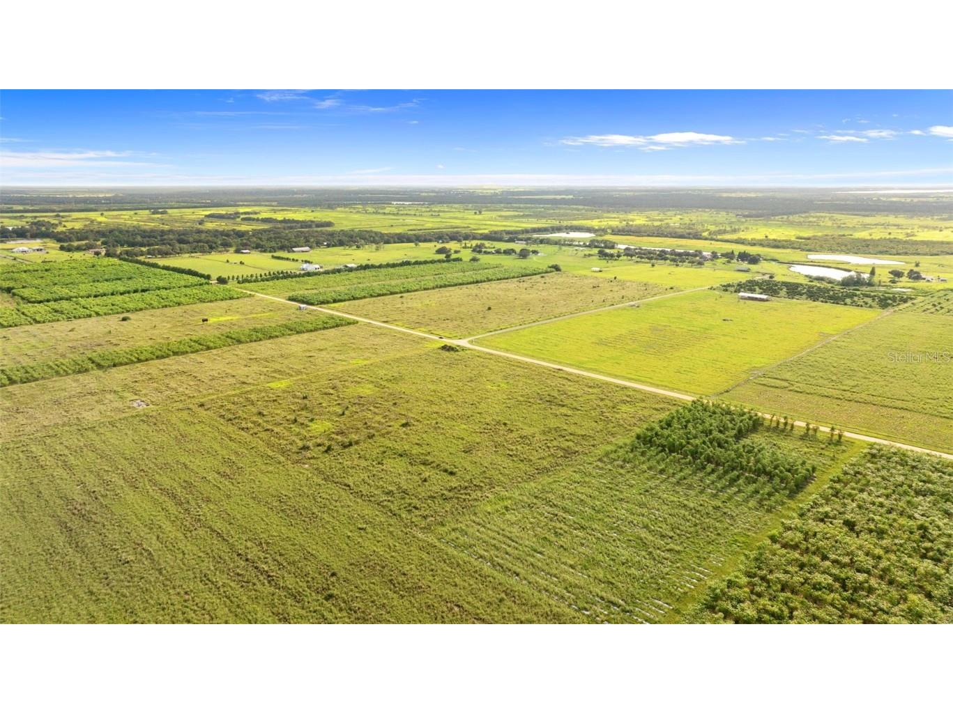 Garfield Road Fort Meade FL 33841 TB8425394 image12