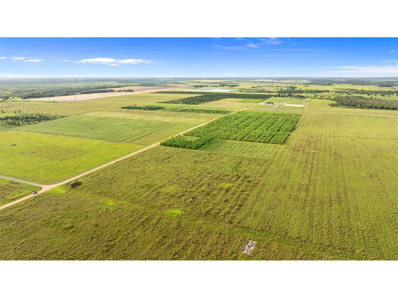 Garfield Road Fort Meade FL 33841 TB8425394 image18