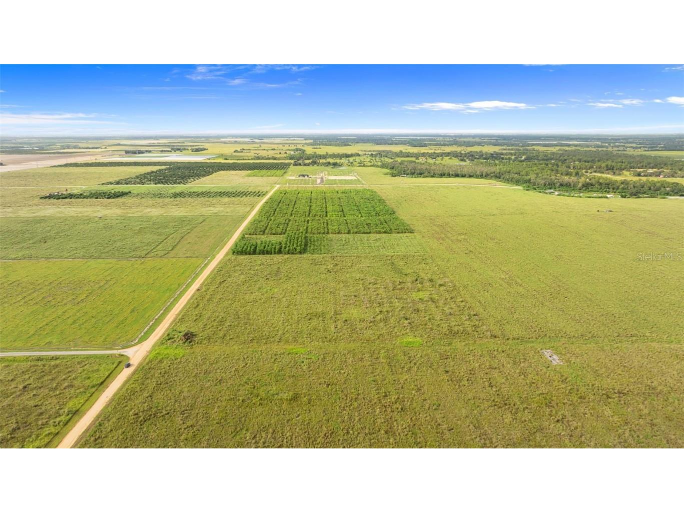 Garfield Road Fort Meade FL 33841 TB8425394 image20