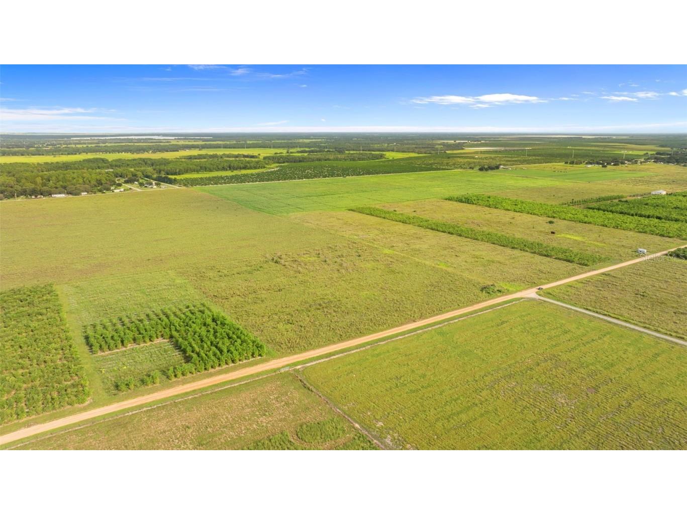 Garfield Road Fort Meade FL 33841 TB8425394 image8