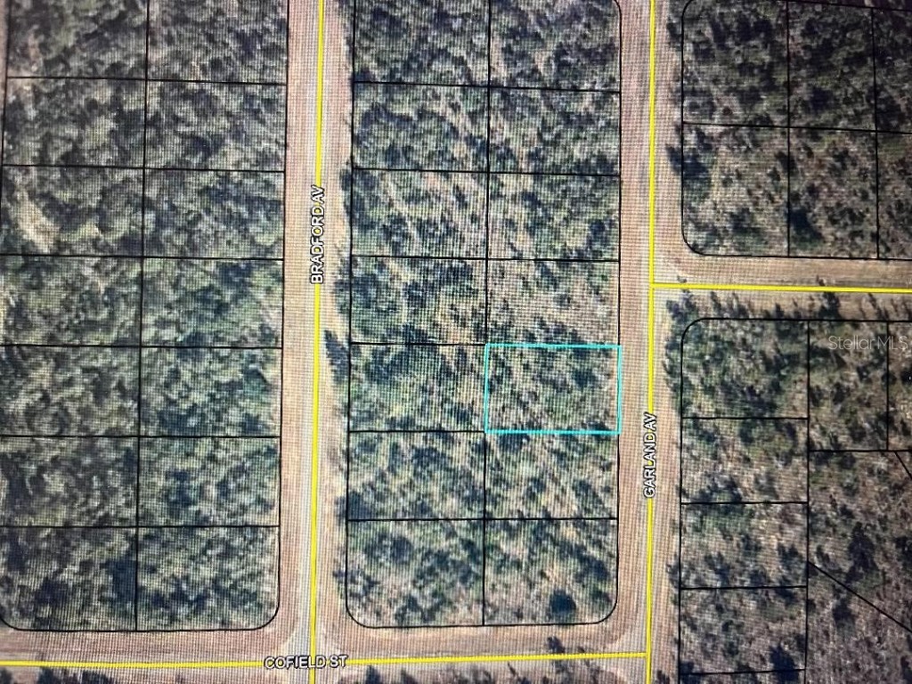 Garland Avenue Chipley FL 32428 OM651779 image1