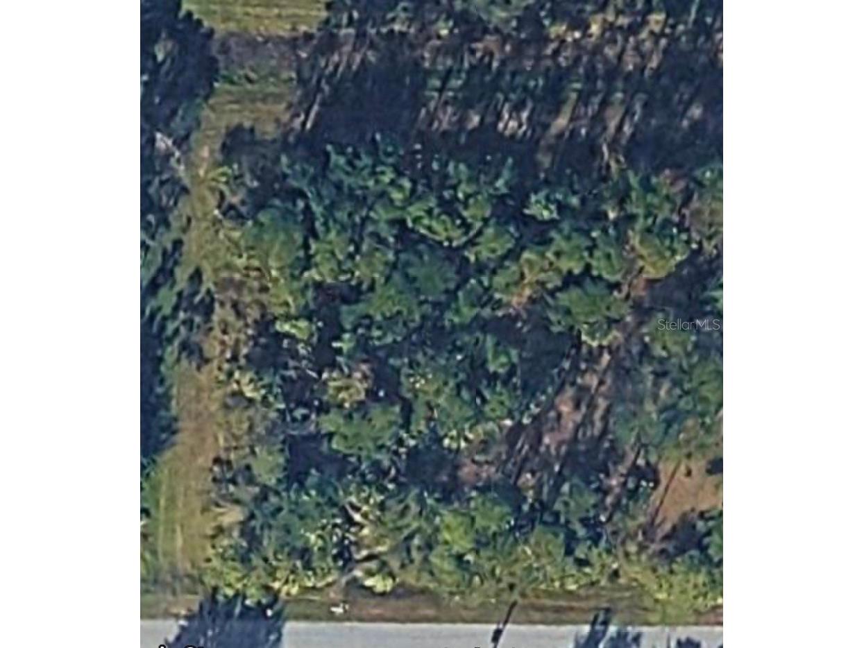 Garlenda Avenue North Port FL 34286 C7521935 image4