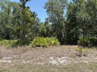 Gaskins Circle North Port FL 34288 A4652726 image1