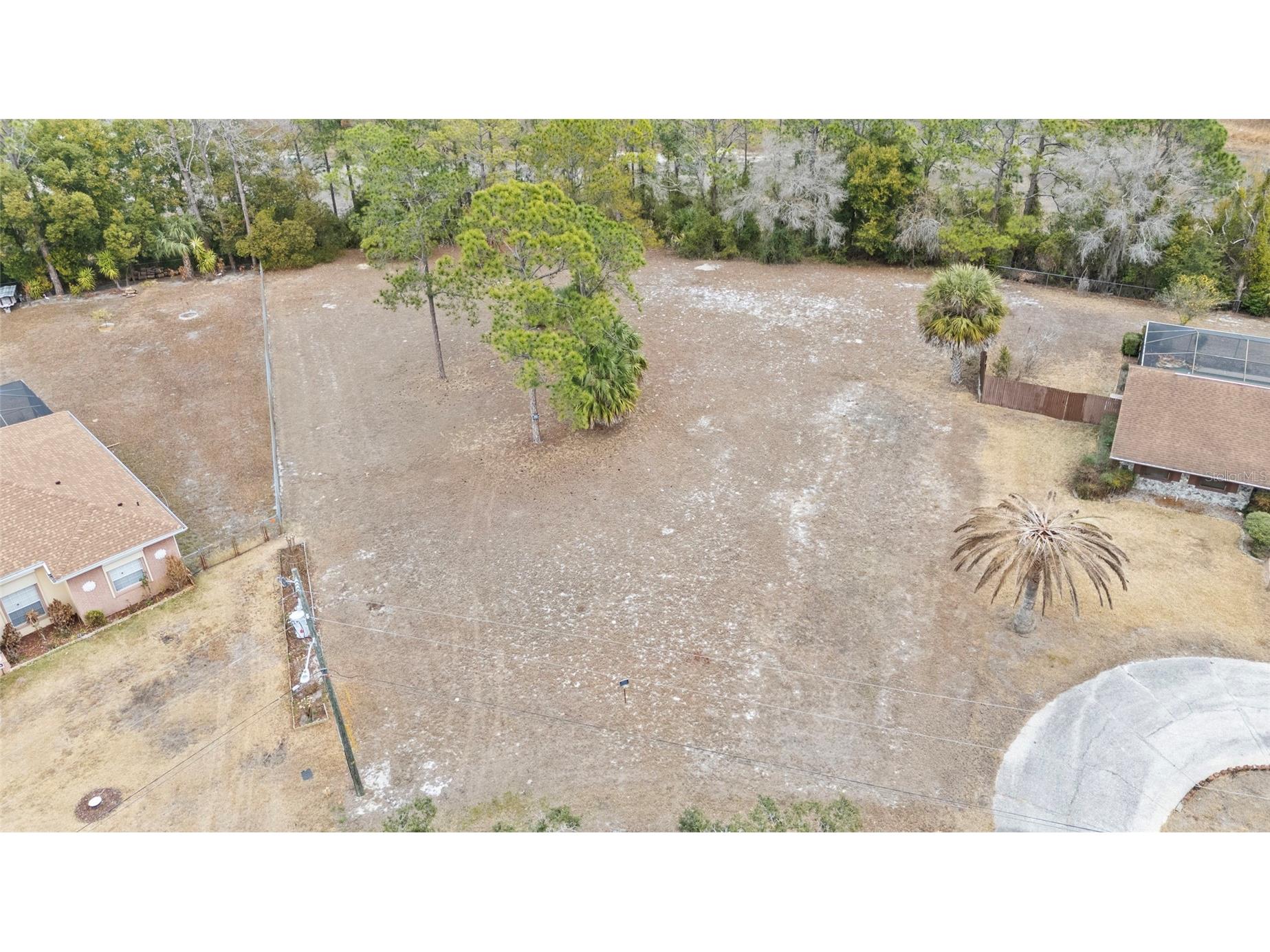 Gates Circle Spring Hill FL 34606 TB8476057 image4