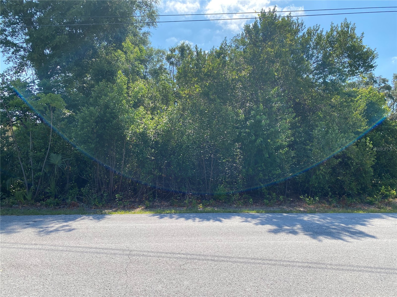 Gatewood Avenue Spring Hill FL 34608 TB8505891 image1