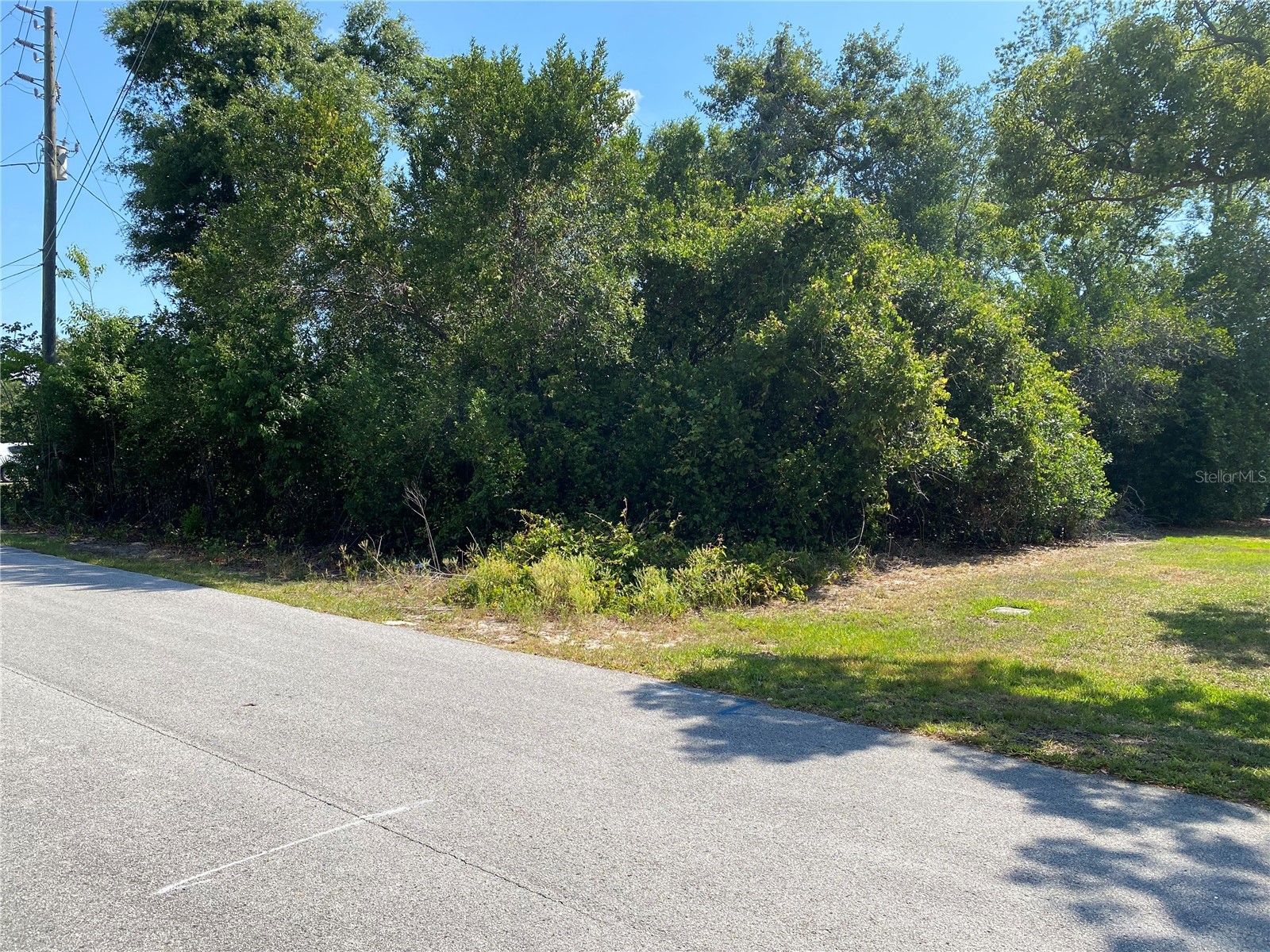 Gatewood Avenue Spring Hill FL 34608 TB8505891 image2