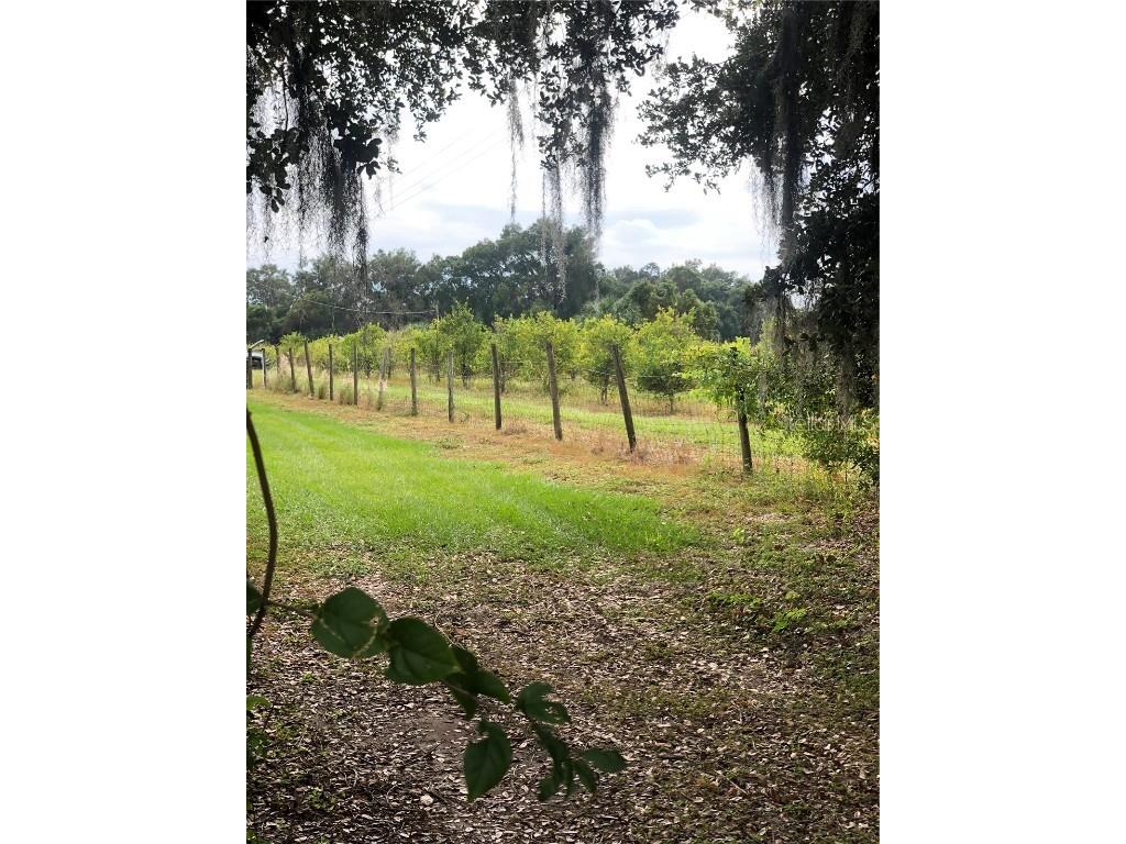 Gavin Road Dover FL 33527 T3408890 image1