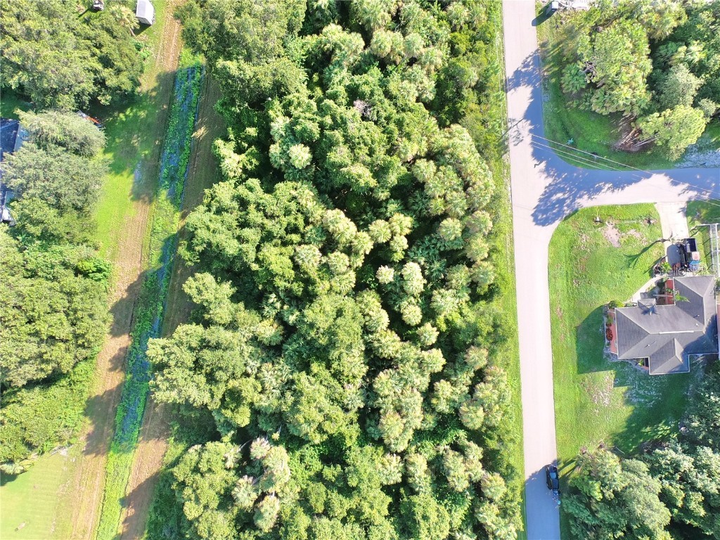 Geary Terrace North Port FL 34288 C7510439 image6