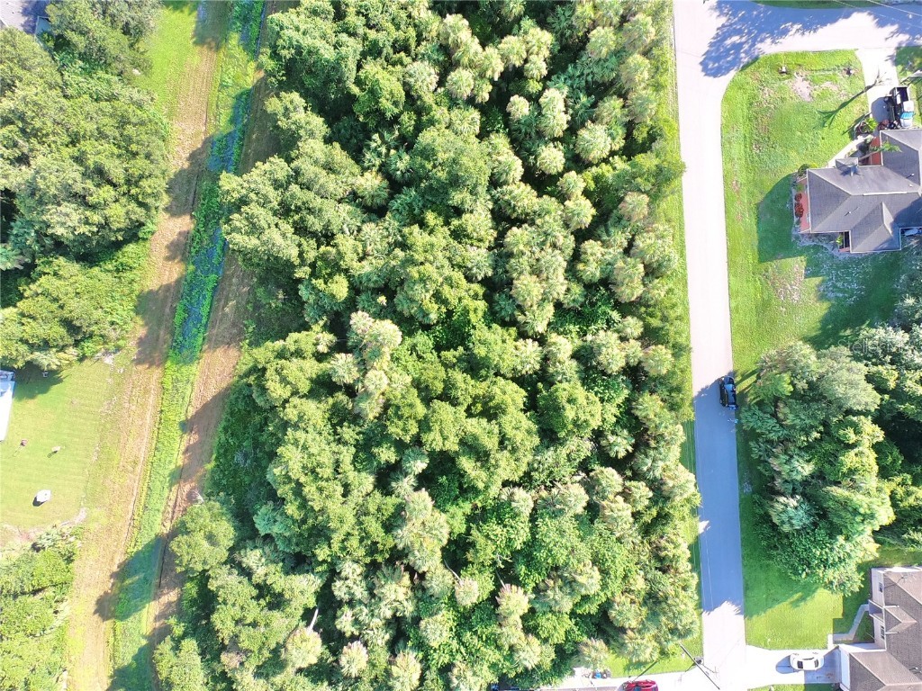 Geary Terrace North Port FL 34288 C7510440 image3