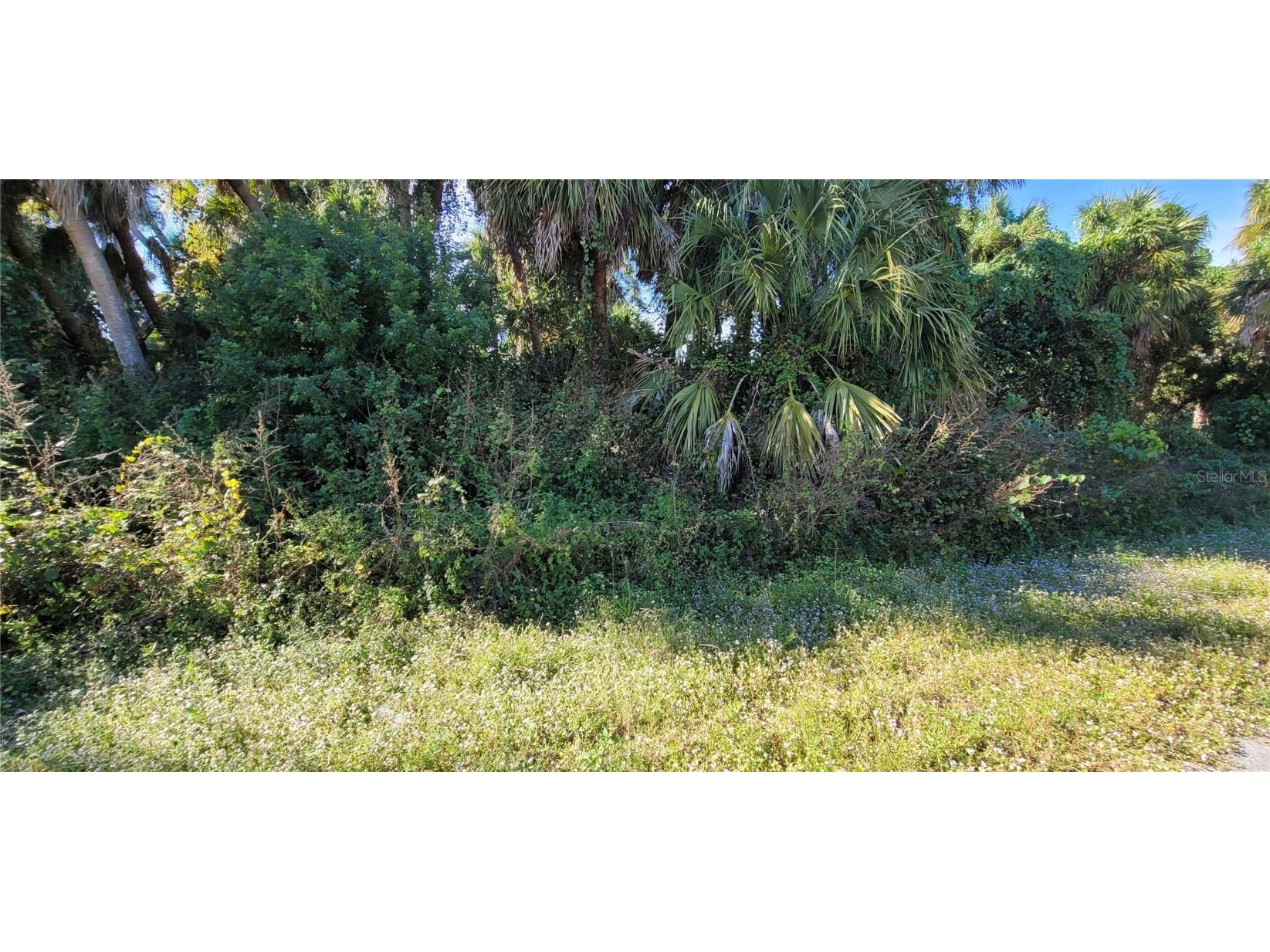 Geary Terrace North Port FL 34288 C7511463 image2