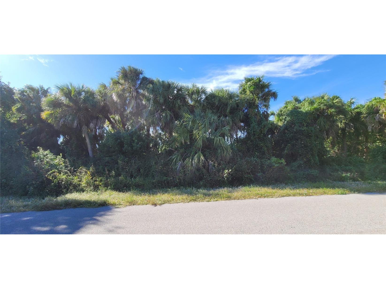 Geary Terrace North Port FL 34288 C7511463 image3