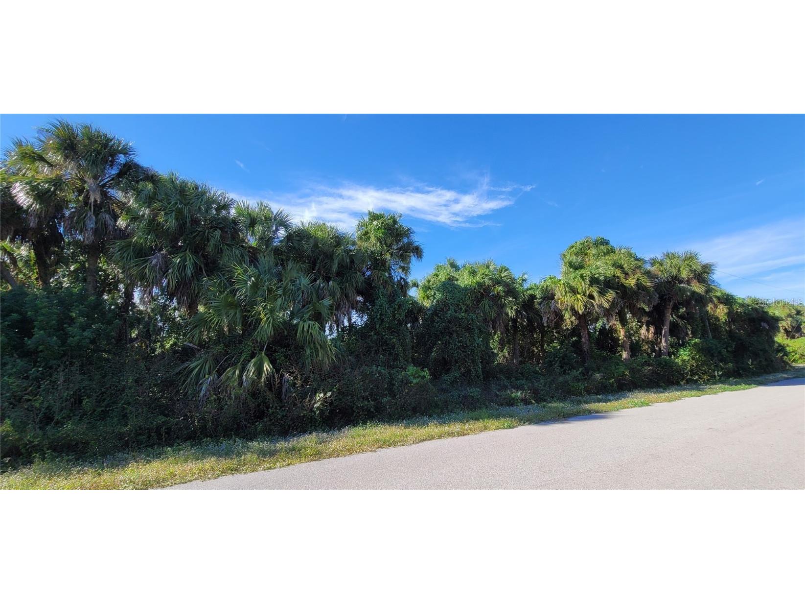 Geary Terrace North Port FL 34288 C7511463 image4