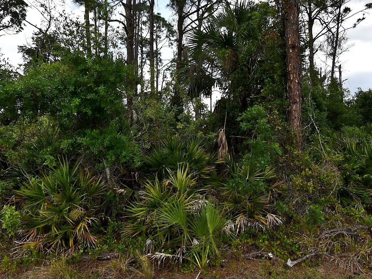 Geloso Avenue North Port FL 34288 O6404398 image1