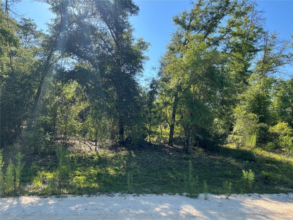 Genesso Avenue Alford FL 32420 OK224127 image1