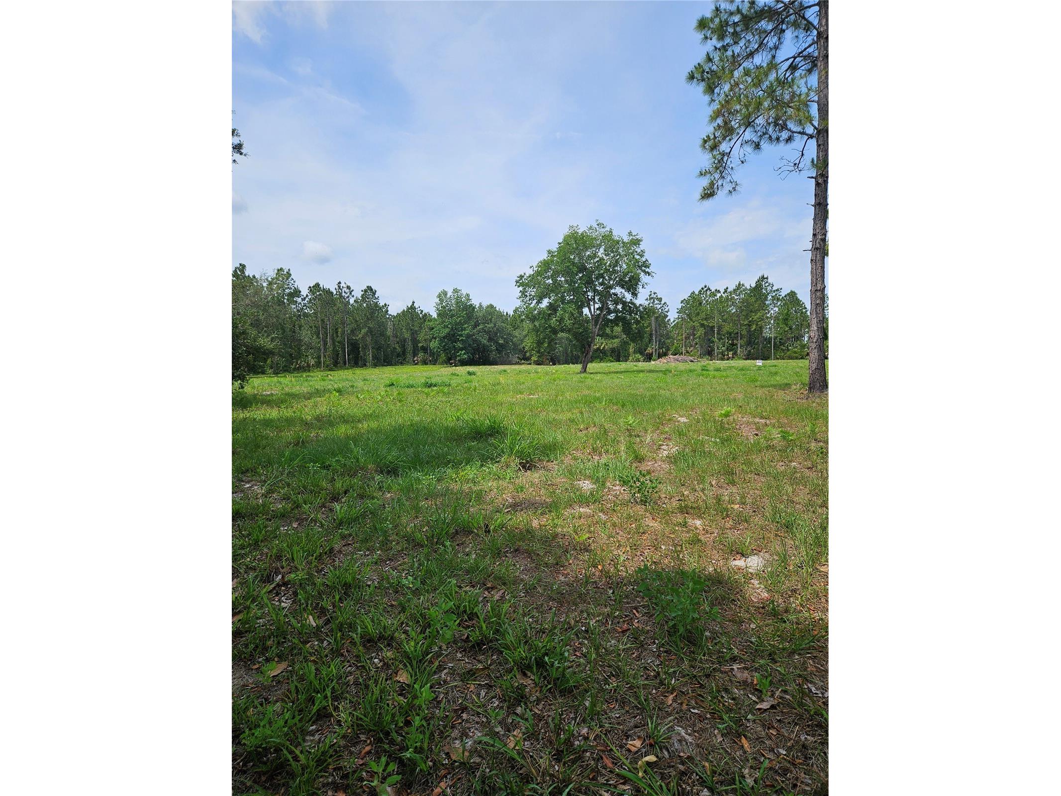 Geneva Woods Cove Geneva FL 32732 O6406735 image1