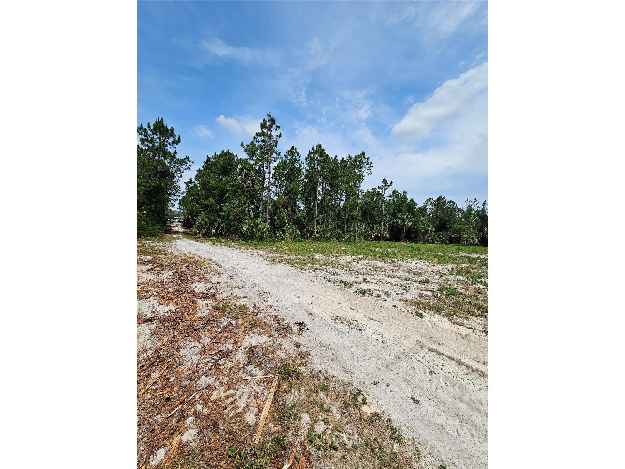 Geneva Woods Cove Geneva FL 32732 O6406735 image10
