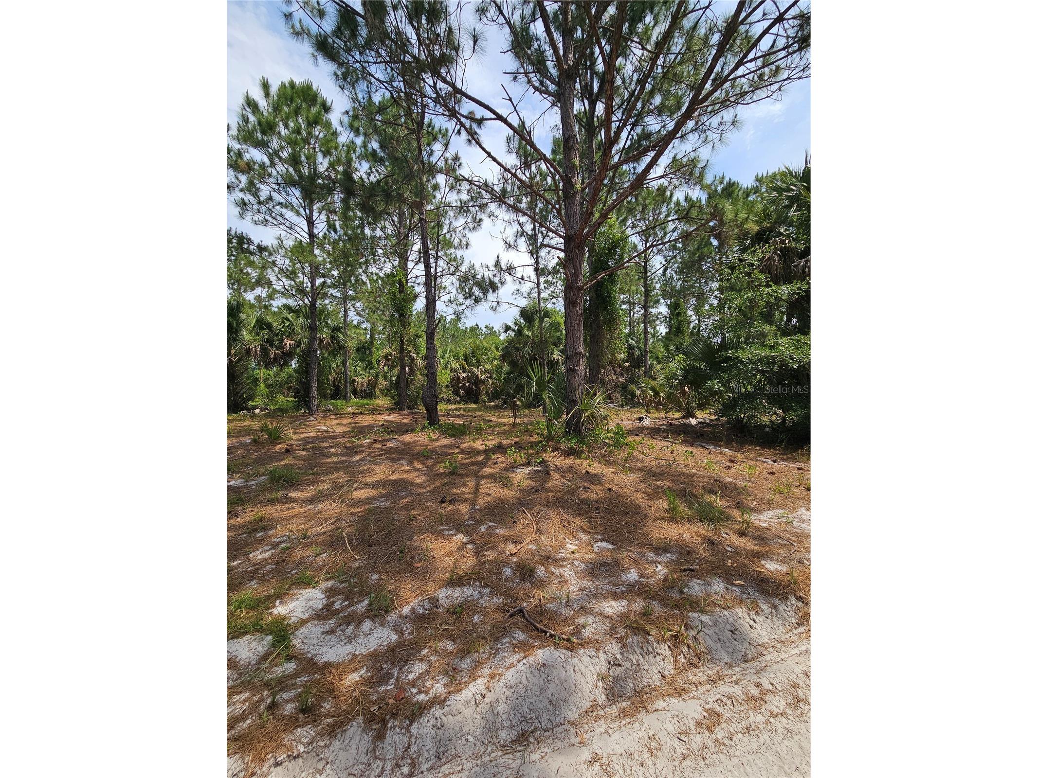 Geneva Woods Cove Geneva FL 32732 O6406735 image11