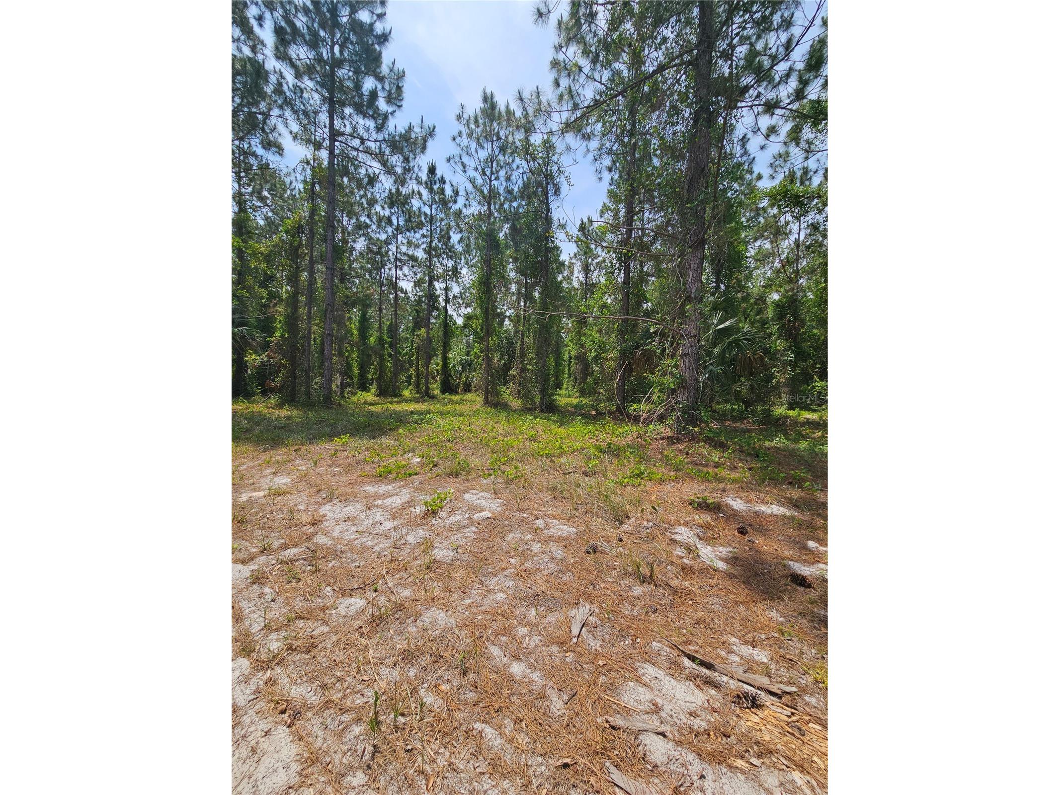 Geneva Woods Cove Geneva FL 32732 O6406735 image13