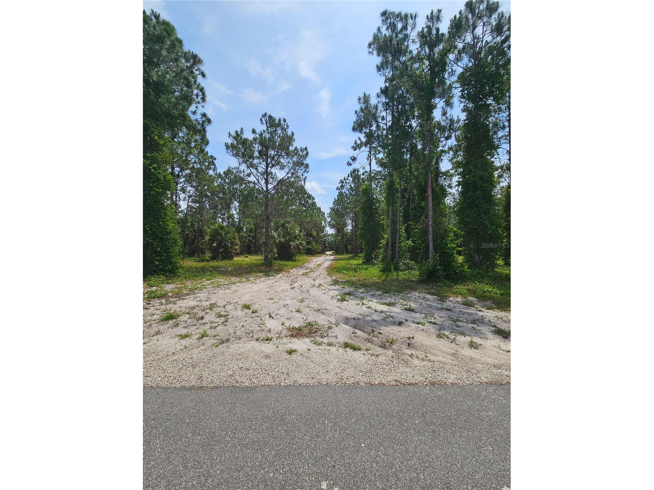 Geneva Woods Cove Geneva FL 32732 O6406735 image2