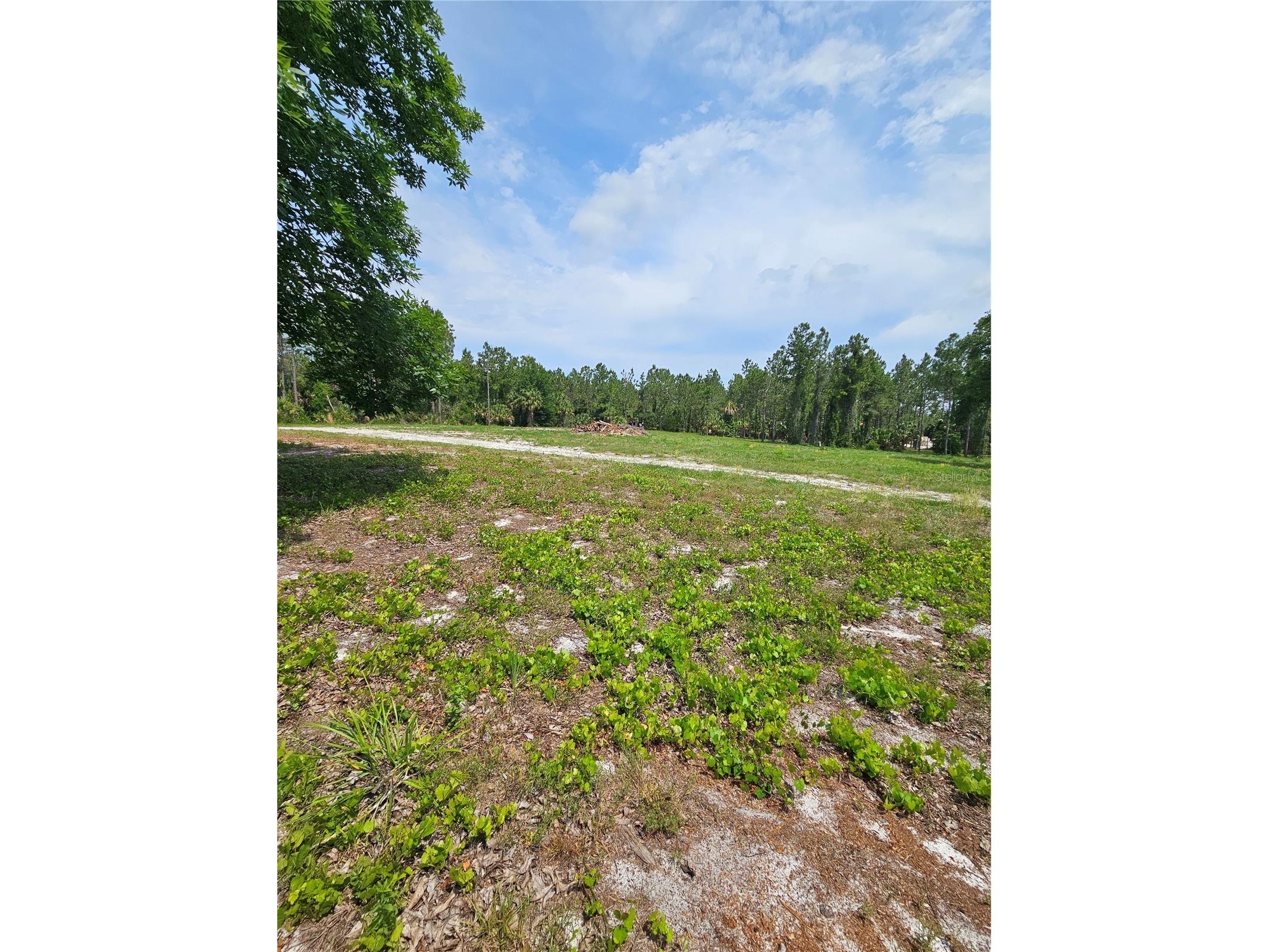 Geneva Woods Cove Geneva FL 32732 O6406735 image8