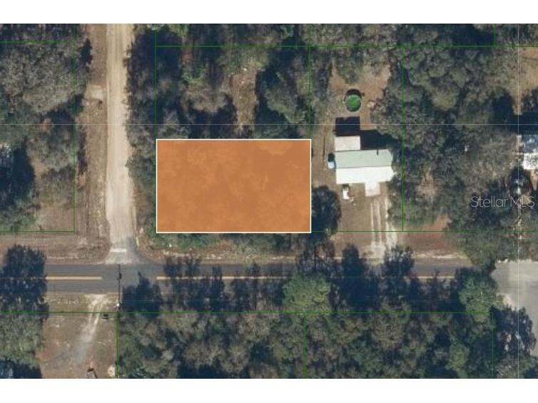 George Avenue Interlachen FL 32148 T3505065 image1
