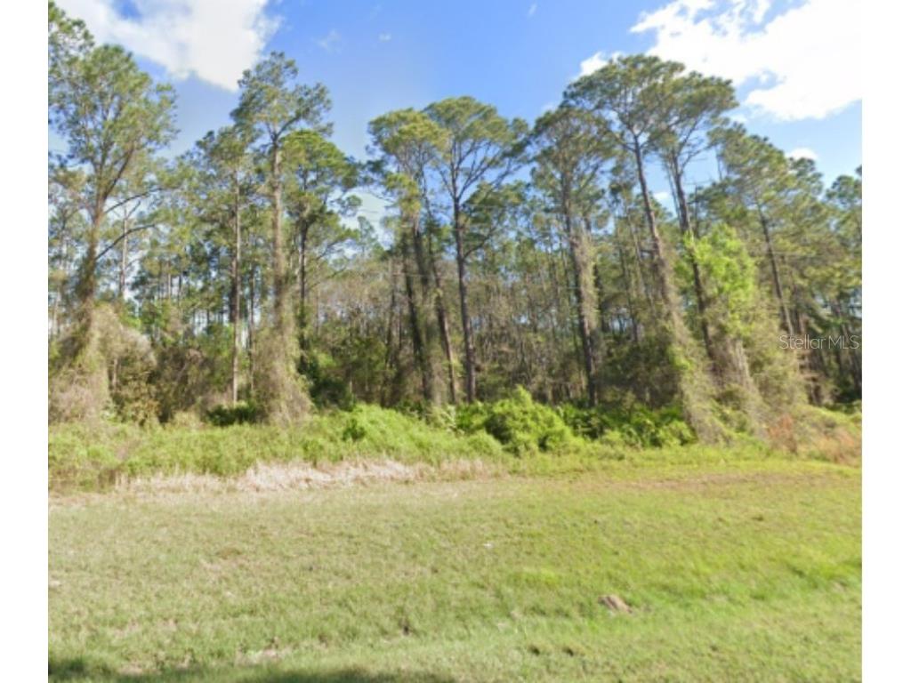 Georgetown Denver Rd Georgetown FL 32139 O6315318 image1