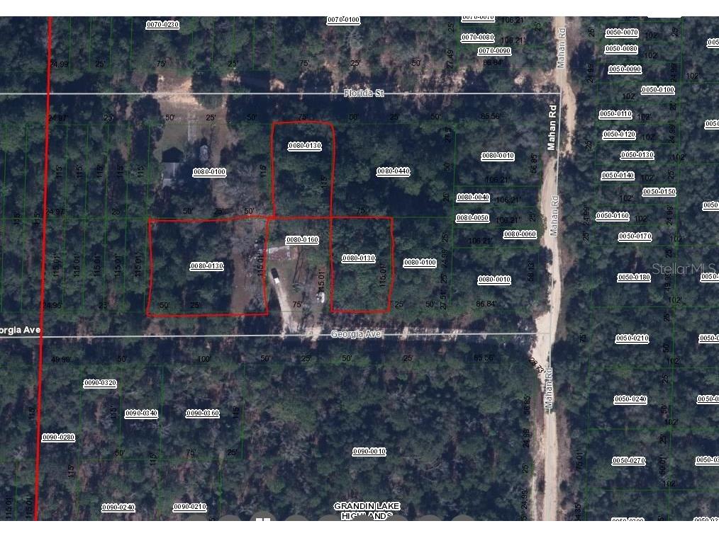 00 Georgia Avenue Interlachen FL 32148 OM642396 image2