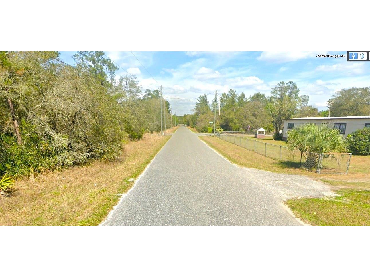 Georgia Street Paisley FL 32767 O6126960 image1