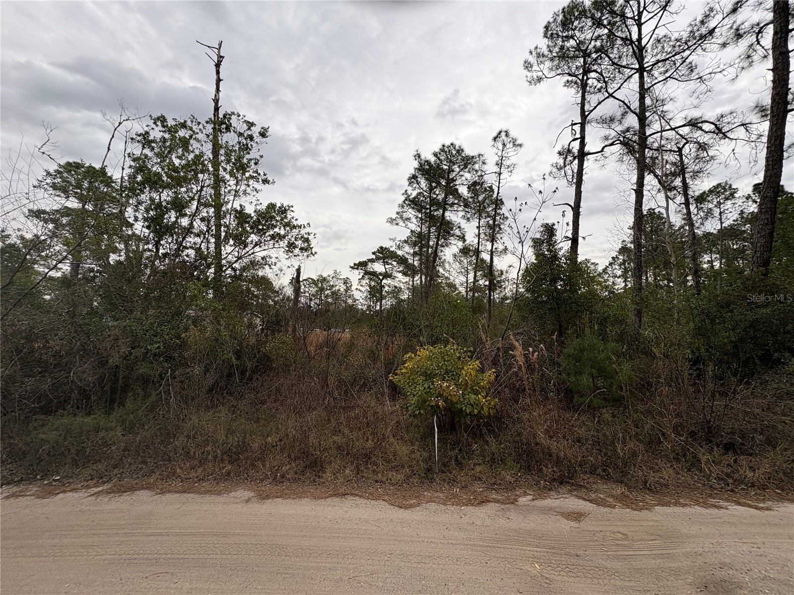 Georgia Street Paisley FL 32767 G5108218 image1