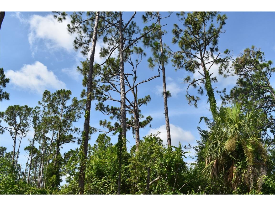 Geranium Avenue North Port FL 34288 C7476990 image1