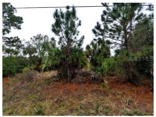 Germany Avenue North Port FL 34288 D6142149 image2