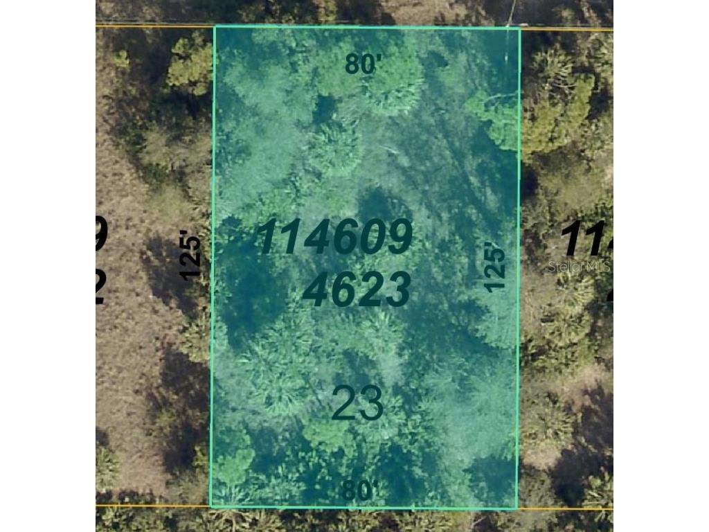 Germany Avenue North Port FL 34288 D6142149 image3