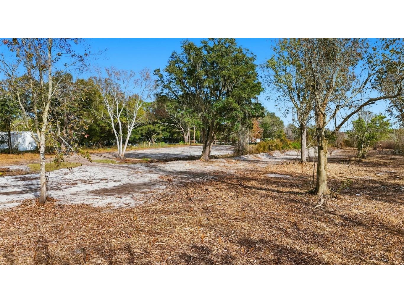 Gibson Oaks Drive Lakeland FL 33809 L4958241 image10