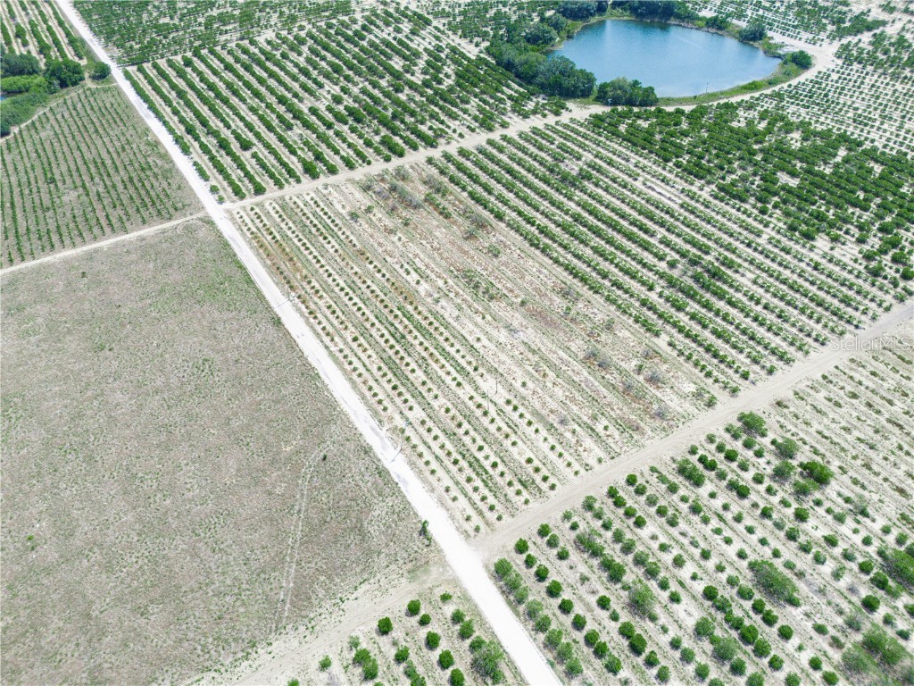 Gilbert Road Lake Wales FL 33898 P4934701 image10