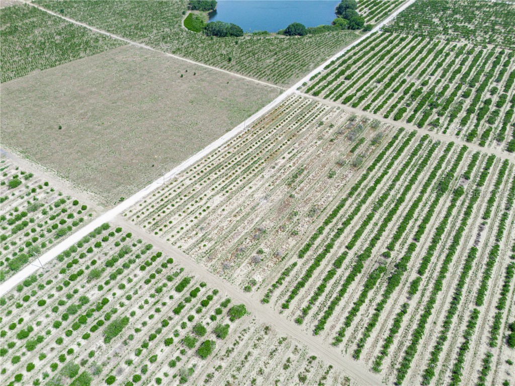 Gilbert Road Lake Wales FL 33898 P4934701 image11