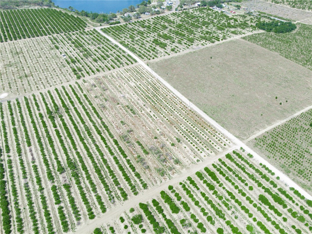 Gilbert Road Lake Wales FL 33898 P4934701 image12